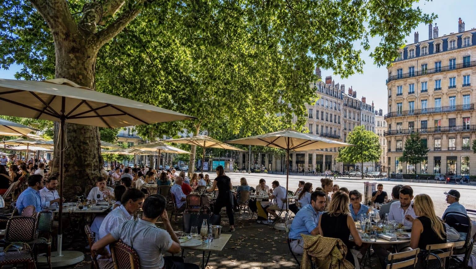 Terrasse ombragée sous les platanes en Presqu'île de Lyon
