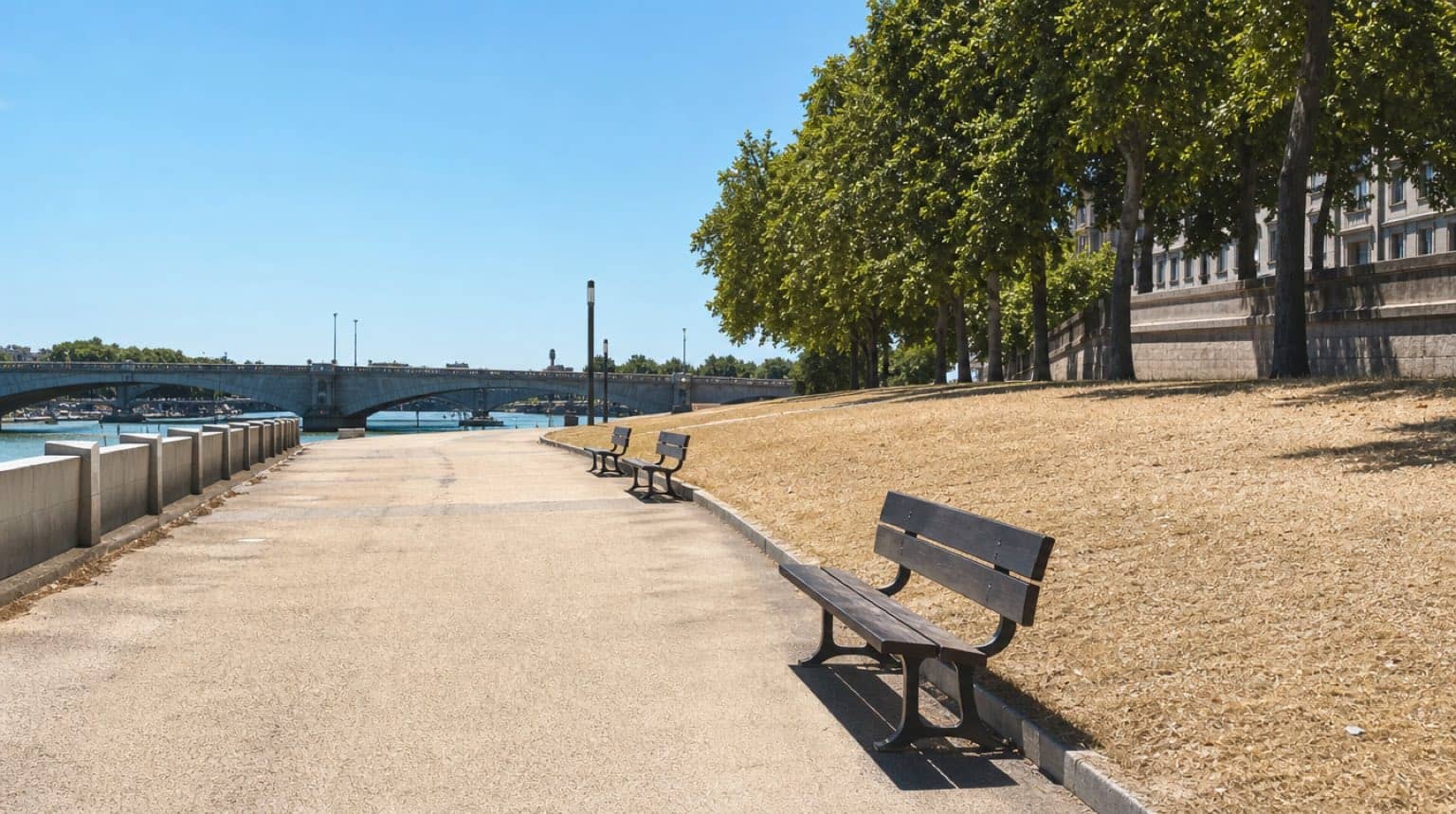 Berges du Rhône désertes à Lyon en pleine canicule, pelouses grillées