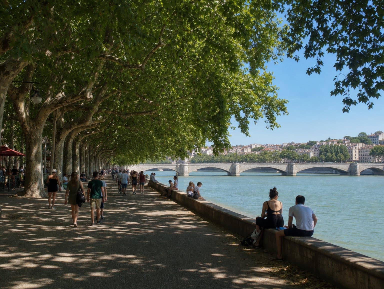 Promenade ombragée des berges du Rhône à Lyon sous les platanes