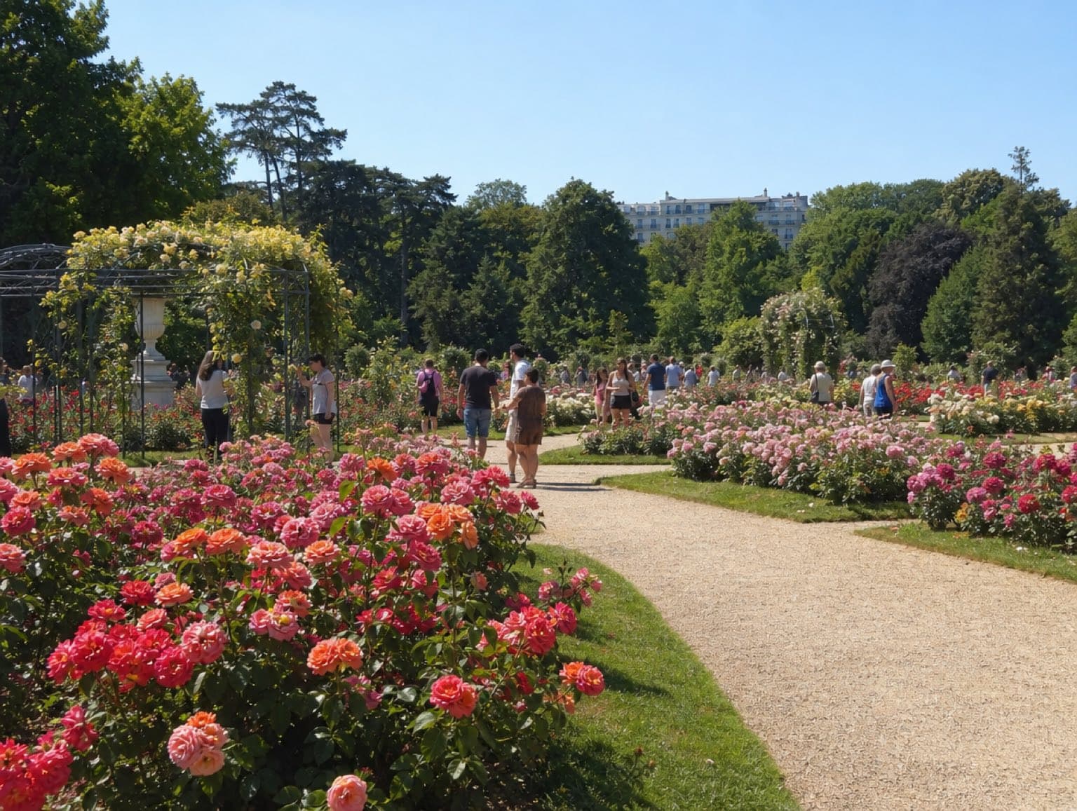 La roseraie du Parc de la Tête d'Or à Lyon en fleurs