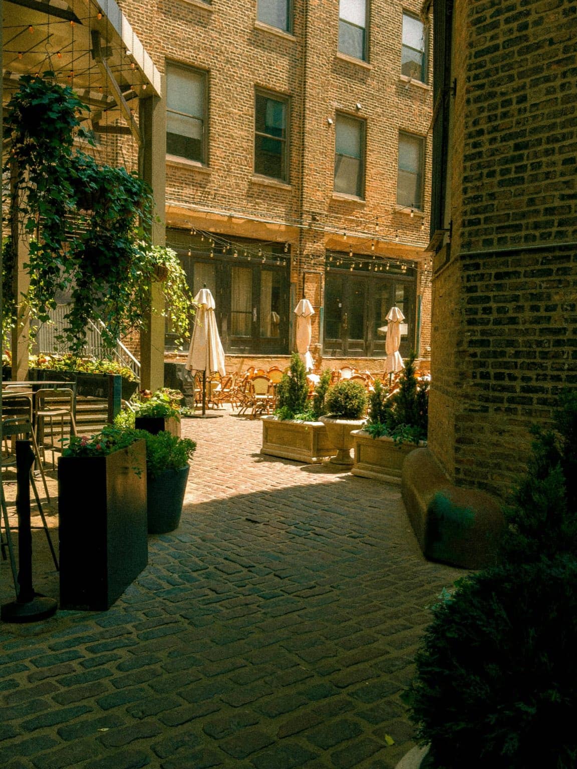 Terrasse de restaurant ensoleillée avec parasols et plantes vertes